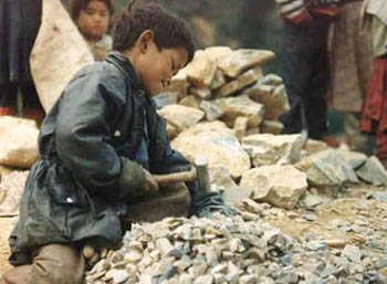 많은 수의 아이들이 생존에 적합한 능력을 배우기도 전에 생계를 위해 학교 밖으로 내몰린다. (네팔에서 노동하는 아이) [출처] www.cwin.org.np