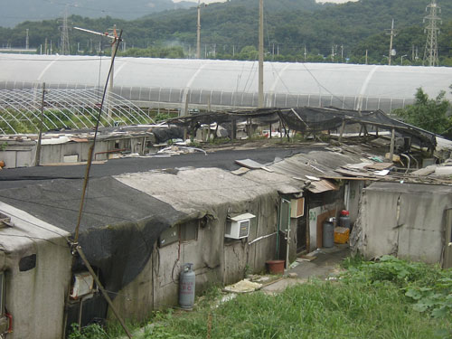 서울 서초구 우면동에 위치한 뚝방마을, 판자와 부직포가 주요 재질인 비닐하우스촌은 화재에 취약할 수밖에 없다.
